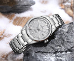 Cronos Arctic Ice